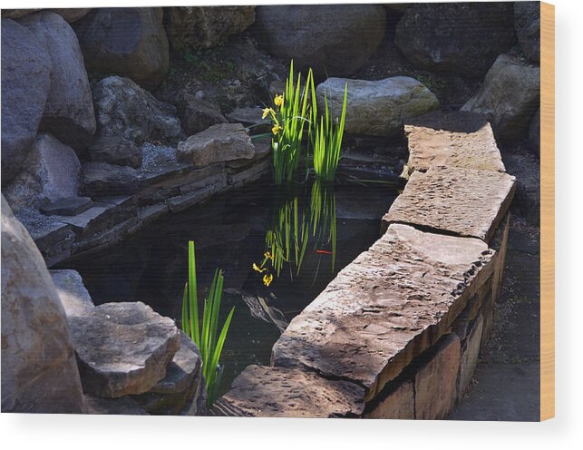 Pond Wood Print featuring the photograph Green Reflections by Kathleen Stephens
