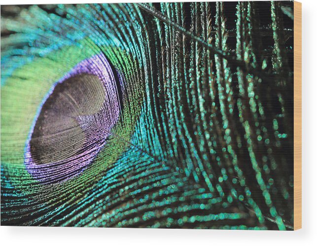 Peacock Feather Wood Print featuring the photograph Green Sparkles by Angela Murdock