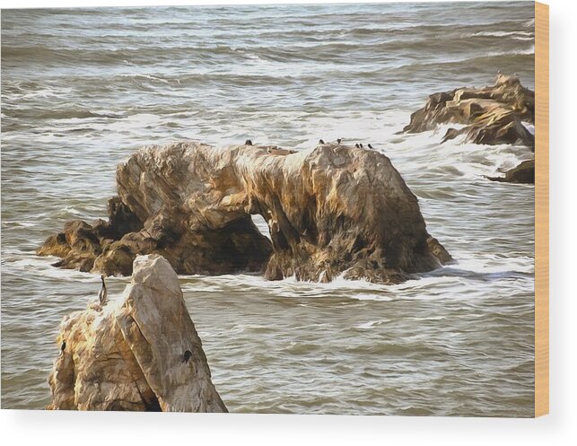Window Rock Pismo Beach California Wood Print featuring the photograph Grey Water at Window Rock by Barbara Snyder