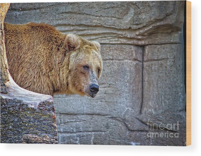 Bear Wood Print featuring the photograph Grizzly Bear by Ms Judi