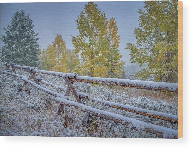 Adventure Wood Print featuring the photograph Gros Ventre Grand Teton Fall Snowfall Fence by Scott McGuire