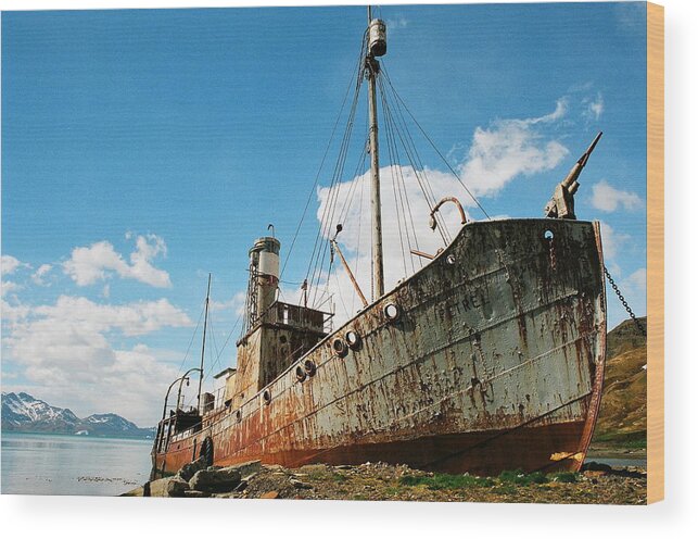 Grytviken Wood Print featuring the photograph Grytviken Whaler by David Bader