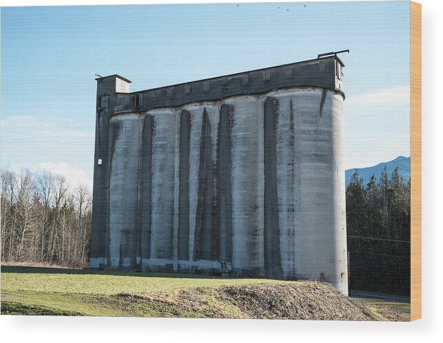 Guardian Silos Wood Print featuring the photograph Guardian Silos by Tom Cochran