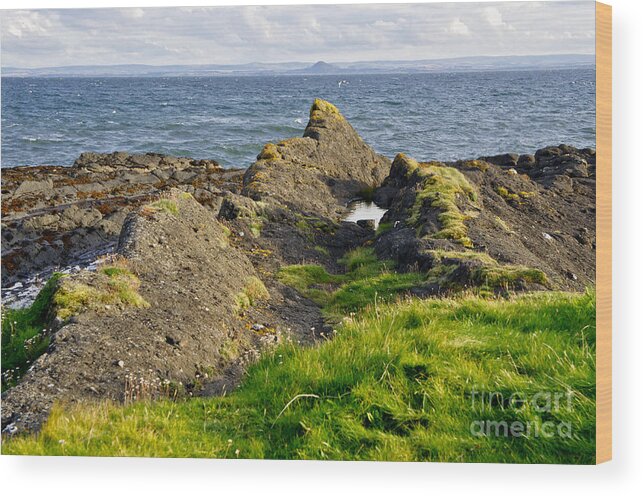 Rocks On The Seashore Wood Print featuring the photograph Guarding the coast. by Elena Perelman