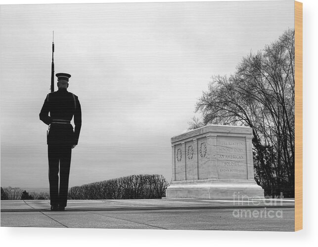 Tomb Wood Print featuring the photograph Guarding the Unknown Soldier by Olivier Le Queinec
