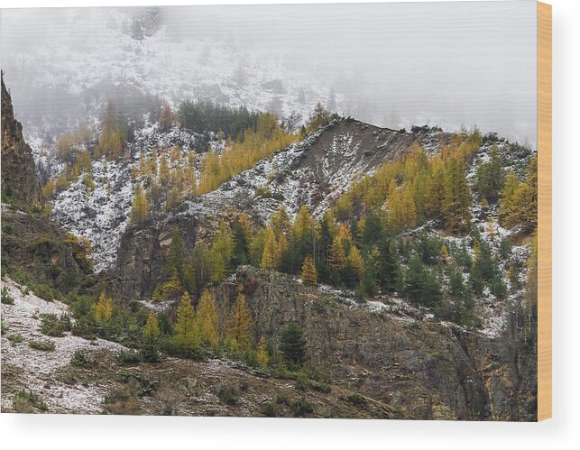 Colors Of Fall Wood Print featuring the photograph Guisane Valley in Autumn - 3 - French Alps by Paul MAURICE