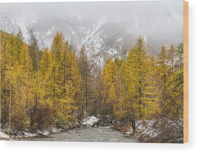 Autumn Landscape Wood Print featuring the photograph Guisane valley in Autumn - French Alps by Paul MAURICE