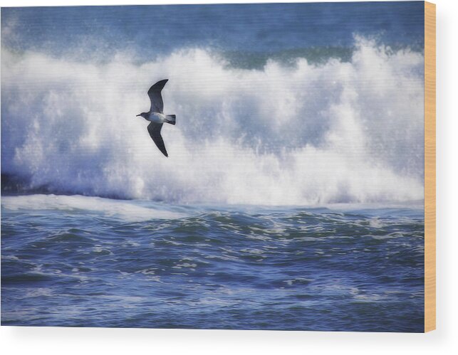 Photo Wood Print featuring the photograph Gull in the Waves by Alan Hausenflock