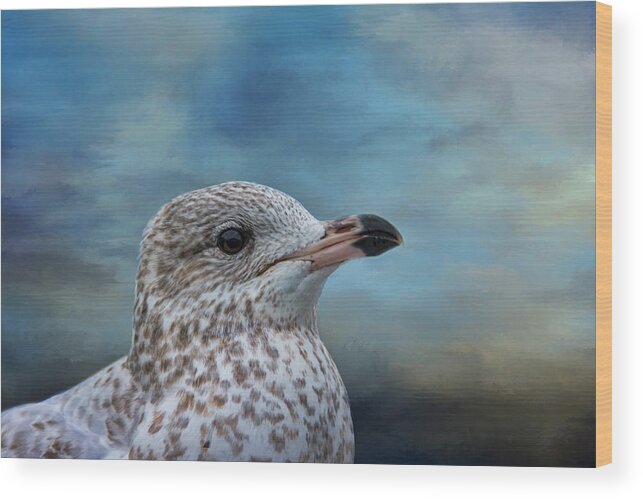 Gull Wood Print featuring the photograph Gull Profile by Cathy Kovarik