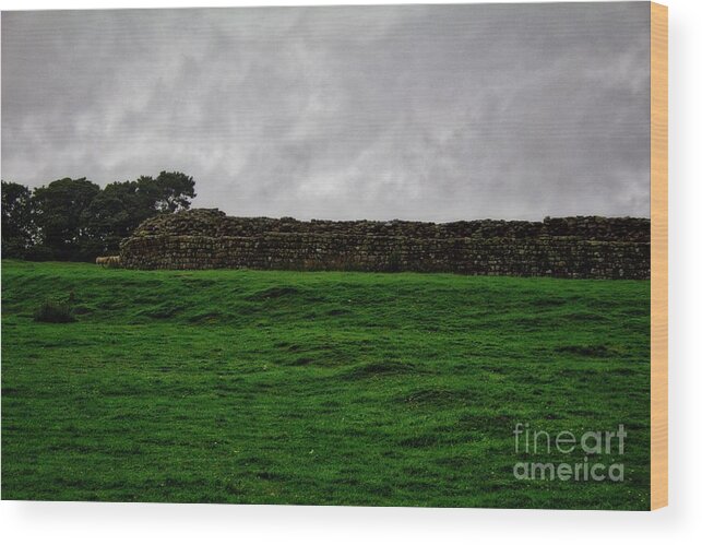 Northumberland Wood Print featuring the photograph Hadrian's Wall by John Kenealy