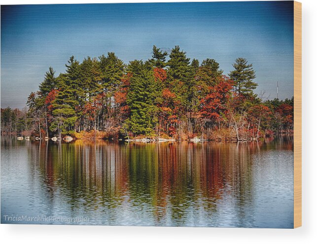 Water Wood Print featuring the photograph Haggetts Reflections by Tricia Marchlik