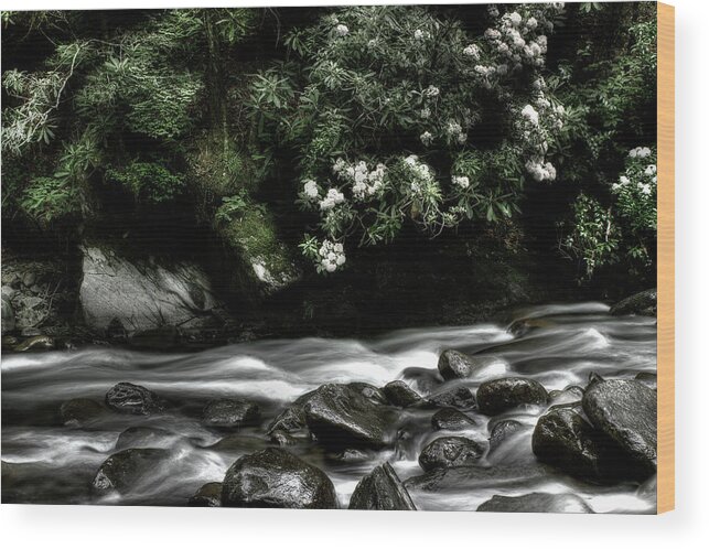 Quiet River Scene Wood Print featuring the photograph Half And Half by Mike Eingle