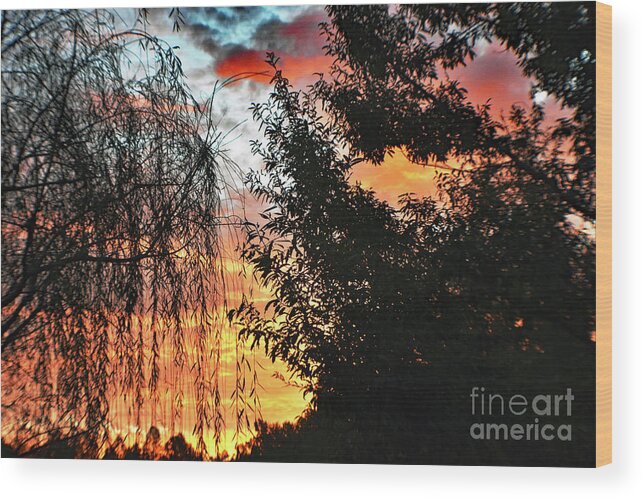 Nature Wood Print featuring the photograph Halloween Sunrise 2015 by DB Hayes