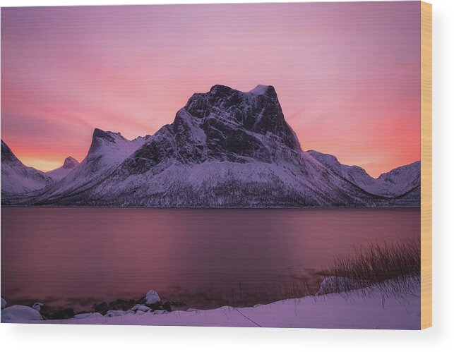 Norway Wood Print featuring the photograph Halo in Pink by Alex Lapidus
