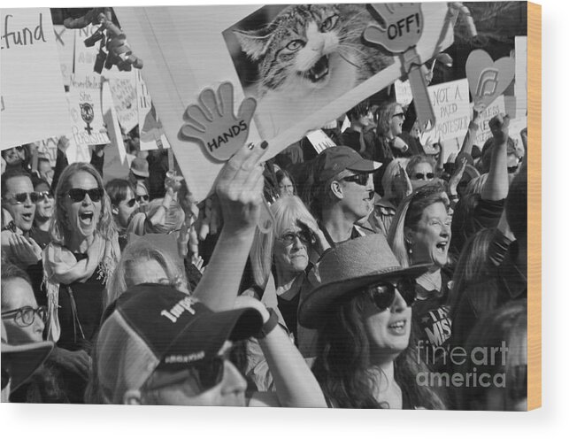 Planned Parenthood Wood Print featuring the photograph Hands Off by Anjanette Douglas