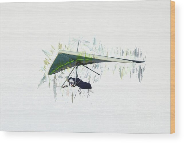 Hang Gliding Wood Print featuring the photograph Hang Gliding Nbr 2 by Scott Cameron
