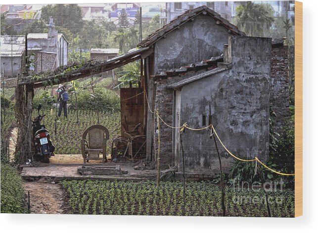 Vietnam Wood Print featuring the photograph Hanoi Living by Chuck Kuhn