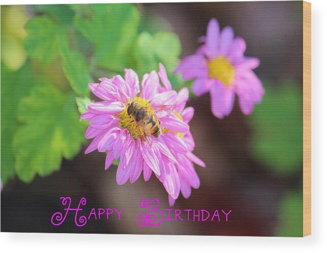 Happy Birthday Wood Print featuring the photograph Happy birthday daisy by Beth Tidd