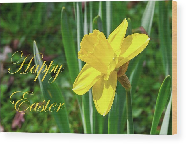 Easter Wood Print featuring the photograph Happy Easter - 8 by Paul MAURICE