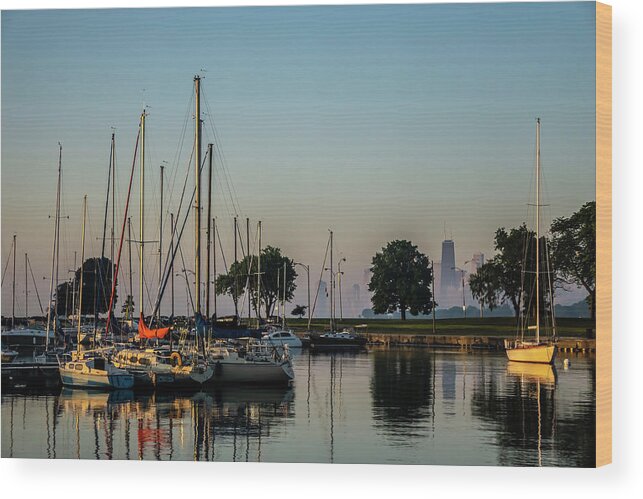 Sailboat Wood Print featuring the photograph Harbor and Chicago Skyline by Sven Brogren