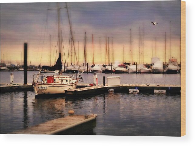 Dusk At Harbor Point Wood Print featuring the photograph Harbor Point Stamford by Diana Angstadt