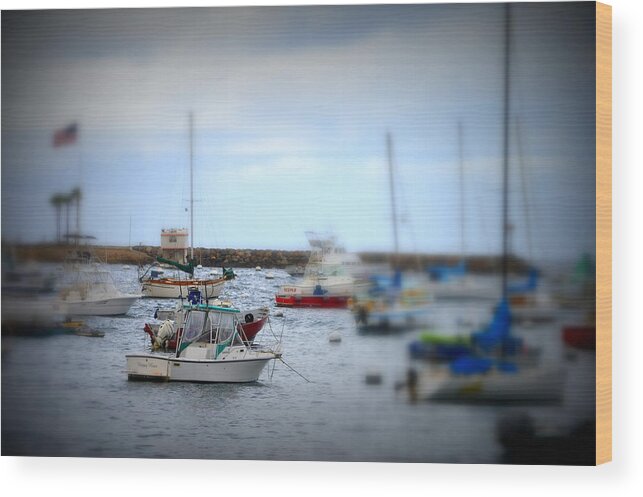 Sailboats Wood Print featuring the photograph Harbour Boats by Bill Hamilton