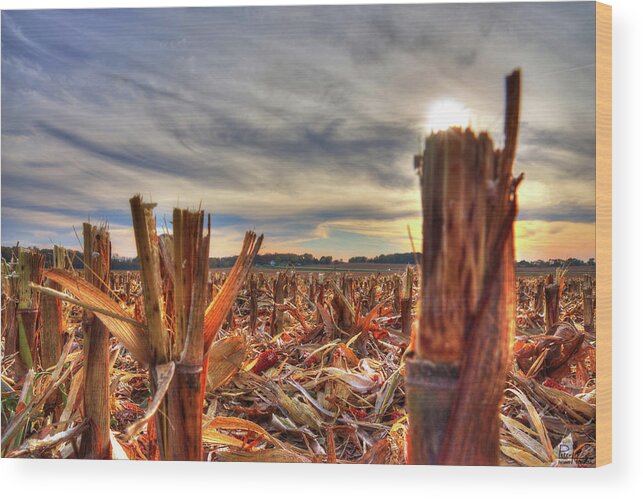 Corn Stubble Farm Farming Sunset Cirrus Clouds Sky Landscape Horizontal Rural Wood Print featuring the photograph Harvest Done by Peter Herman
