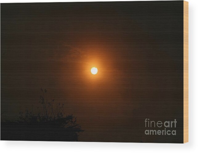 Moon Wood Print featuring the photograph Harvest Moon by Cynthia Marcopulos