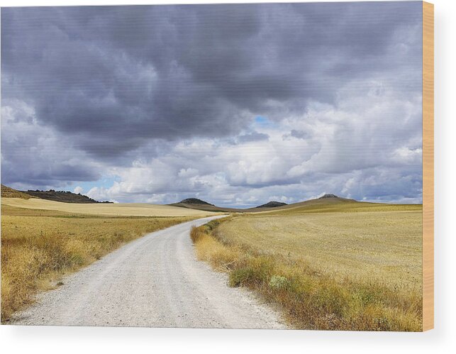 Wheat Wood Print featuring the photograph Harvested wheat fields by Fabrizio Troiani