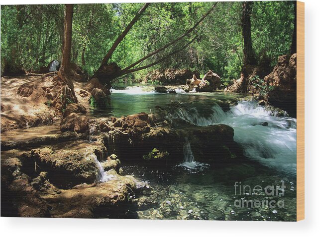 Havasupai Wood Print featuring the photograph Havasu Creek In Campground by Kathy McClure
