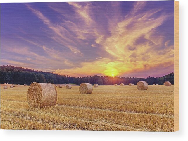 Europe Wood Print featuring the photograph Hay bales and the setting sun by Dmytro Korol