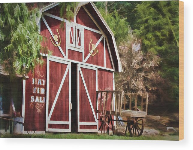 Agriculture Wood Print featuring the photograph Hay Fer Sale by Lana Trussell
