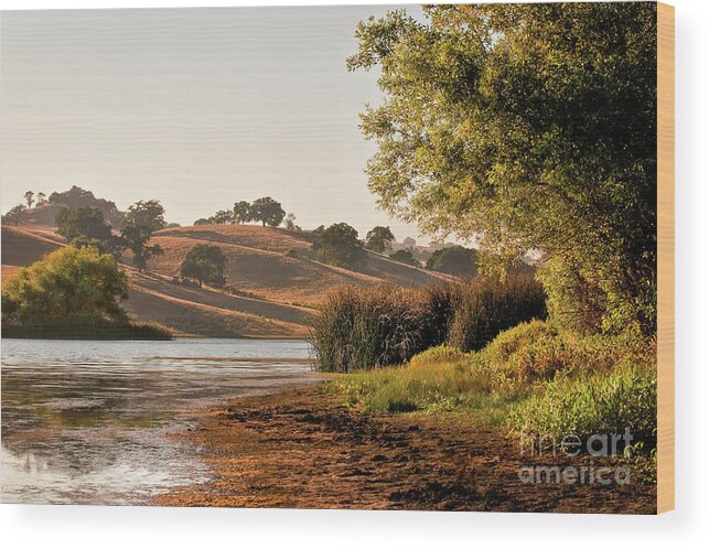Ambient Lighting Wood Print featuring the photograph Hazy Days of Summer 3 by Dean Birinyi