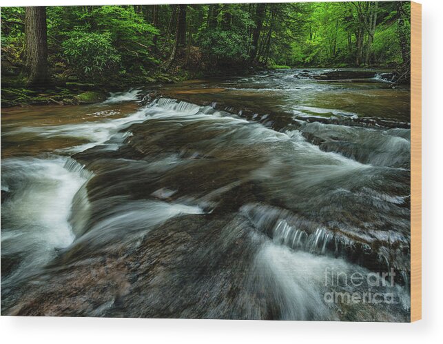 Williams River Wood Print featuring the photograph Headwaters of Williams River by Thomas R Fletcher