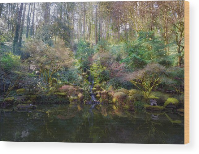 Heavenly Falls Wood Print featuring the photograph Heavenly Falls by David Gn