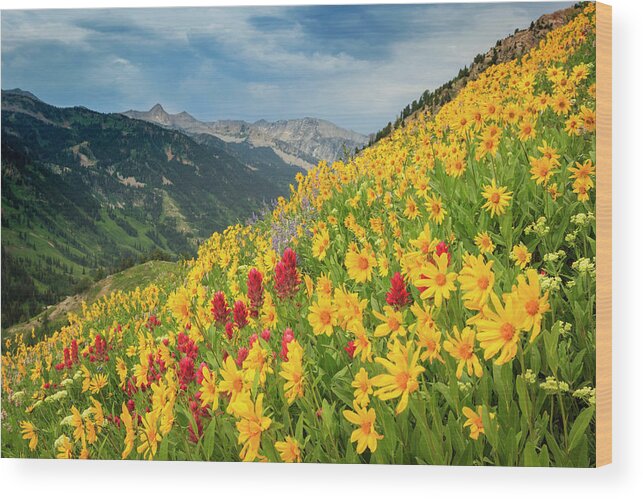 Yellow Wood Print featuring the photograph Hellgate Wildflowers by Wasatch Light