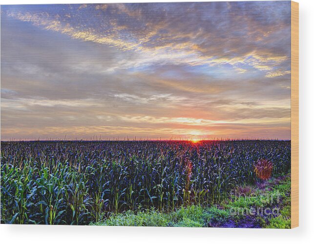 Sunrise Wood Print featuring the photograph Here Comes The Sun by Jean Hutchison