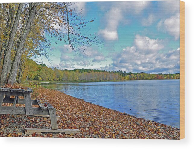 Picnic Wood Print featuring the photograph Fall Picnic In Maine by Glenn Gordon