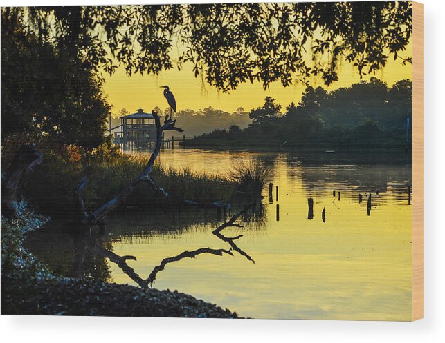 Bon Secour Wood Print featuring the photograph Heron on a Stick Part 2 by Michael Thomas
