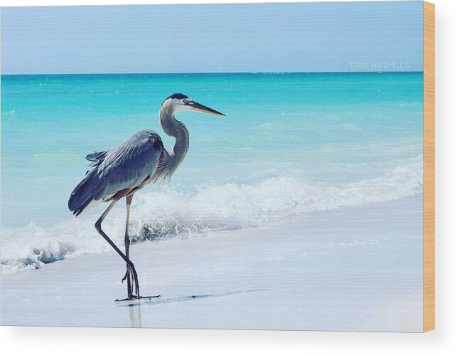 Blue Wood Print featuring the photograph Heron by Terri Hart-Ellis