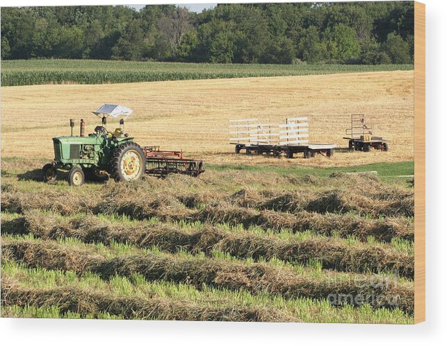 Agriculture Wood Print featuring the photograph Hey Hay by Alan Look