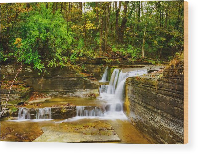 Fall Wood Print featuring the photograph Hidden Falls by Amanda Jones