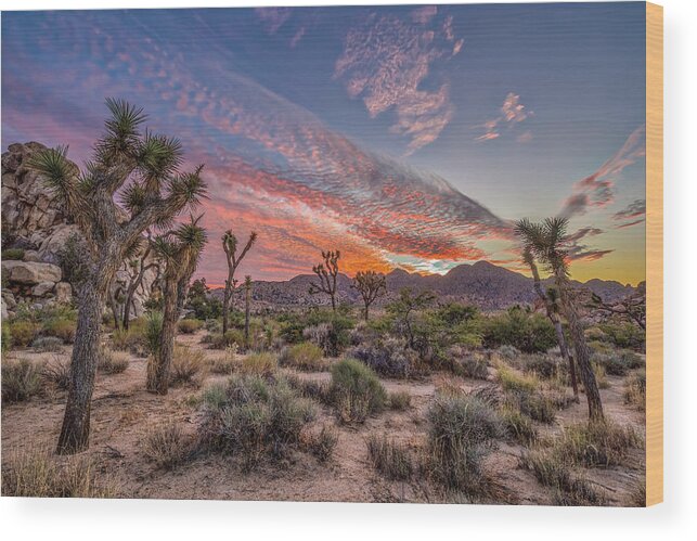 California Wood Print featuring the photograph Hidden Valley Sunset II by Peter Tellone