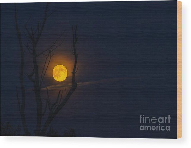 Full Moon Wood Print featuring the photograph Highland Moon by Thomas R Fletcher
