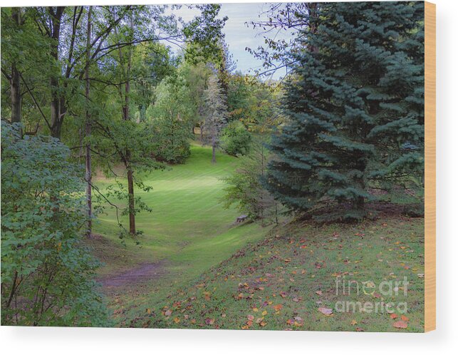 Highland Park Wood Print featuring the photograph Highland Park Glen by William Norton