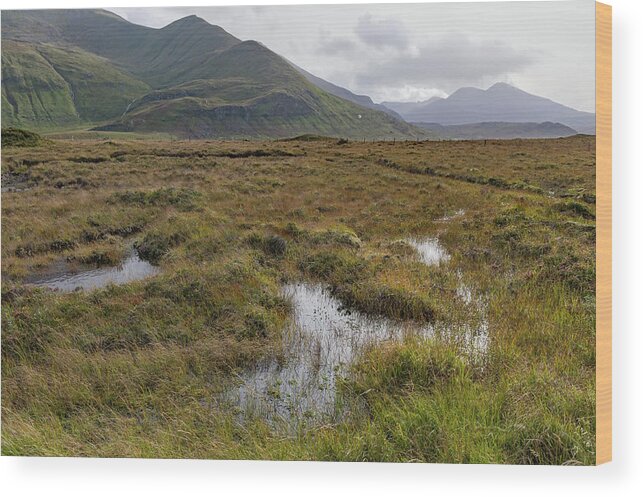 Highlands Wood Print featuring the photograph Highland peat bog by Gary Eason