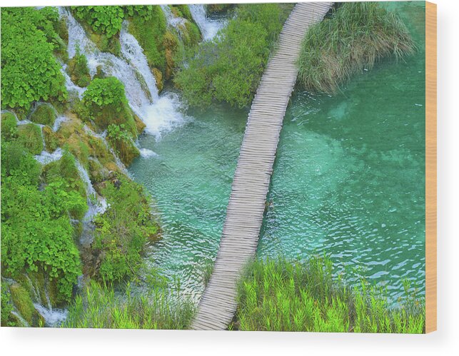 Green Wood Print featuring the photograph Hiking Path in Plitvice National Park Croatia by Brandon Bourdages
