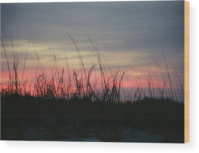 Hilton Head Wood Print featuring the photograph Hilton Head grass at sunrise by Robert Suggs