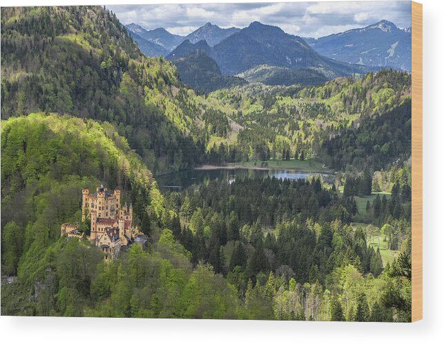 Hohenschwangau Wood Print featuring the photograph Hohenschwangau Castle 2 by Will Wagner