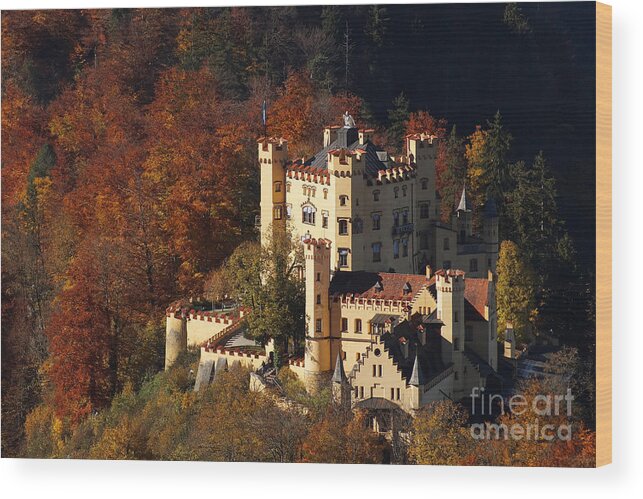 Prott Wood Print featuring the photograph Hohenschwangau castle 5 by Rudi Prott
